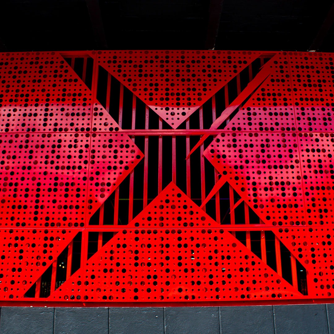 imgi_14_animal-x-4