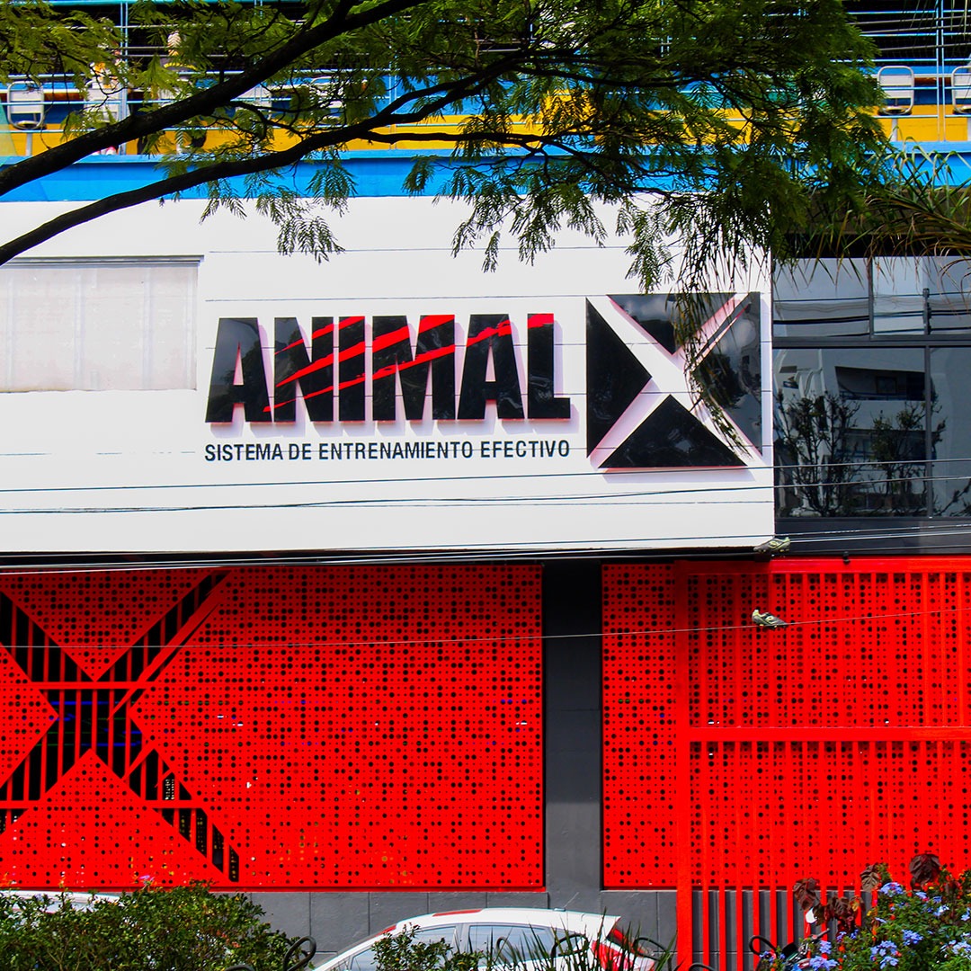 imgi_15_animal-x-3
